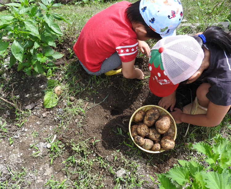 五大観光バスにできること イメージ1